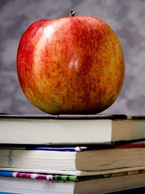 专业代充的网站攻击源码