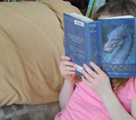 快速响应触控的ip攻击器网页版